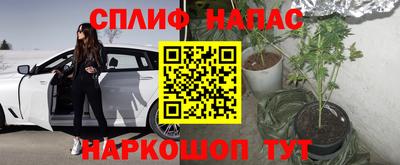 дживик Новодвинск
