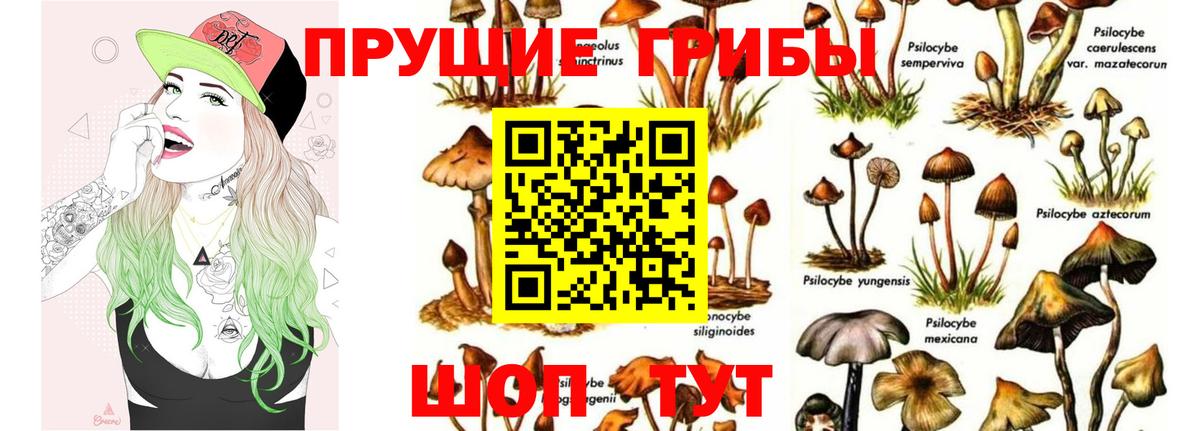 Галлюциногенные грибы Cubensis Усолье-Сибирское
